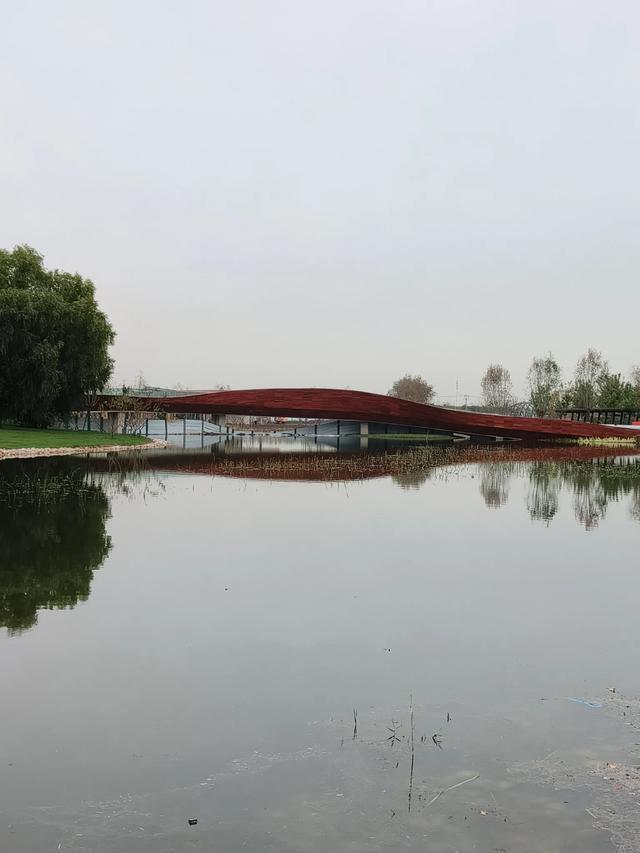 天津《柳林公园》