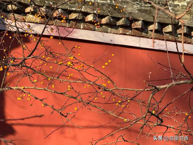 30分钟治愈你的焦虑，带你漫步最治愈的公园之一：北海公园