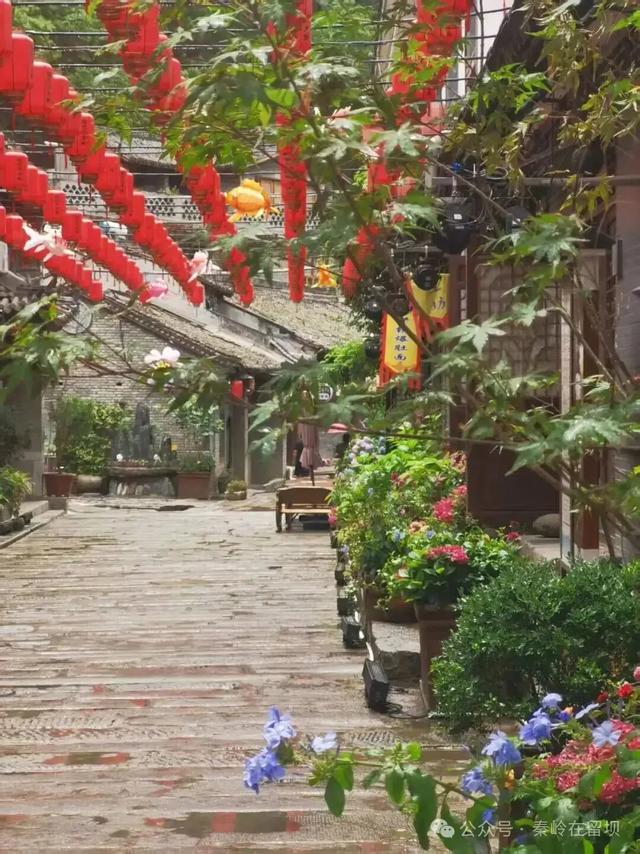 当秋雨掠过秦岭的山脊,汉中悄悄美成写意水墨画