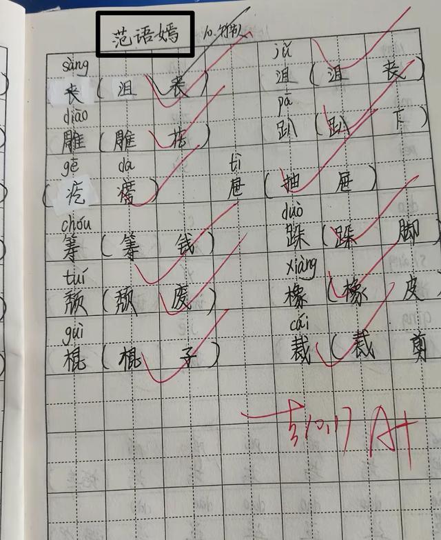 湖南11岁女孩范语嫣去世，头天还要了零花钱，妈妈痛惜没有陪伴好