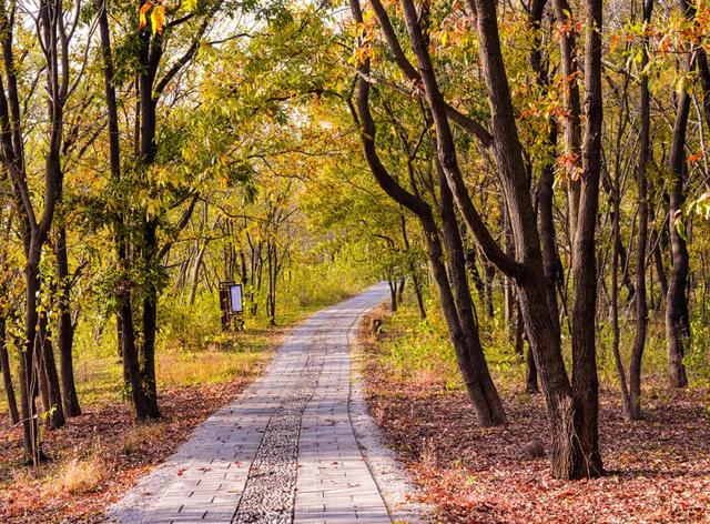 免费打卡明光女山，人少景美超级治愈~