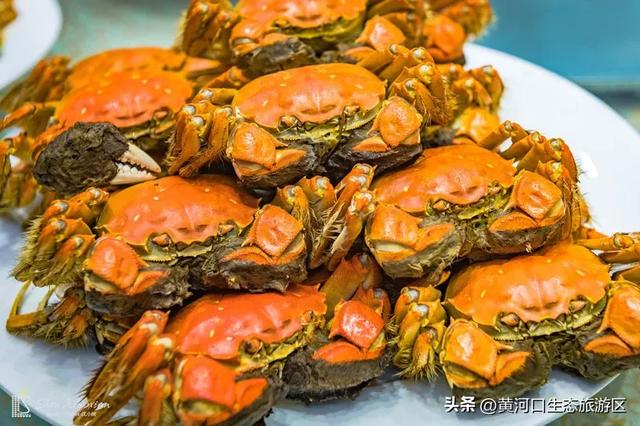 【黄河口生态旅游区】开学季 奔赴自然之美