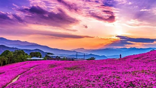 操盘手必懂｜解码景区合作运营的八大路径和十大要点