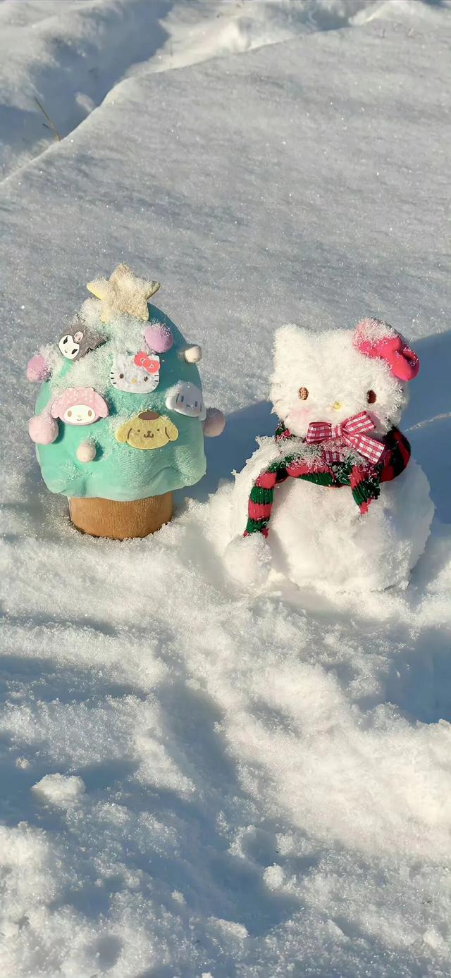 冬至快乐～盼一场大雪，而后春归