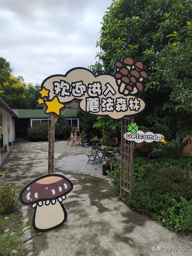 国庆中秋七天乐：到双流优优外婆农场过一个超治愈有温度田园假期