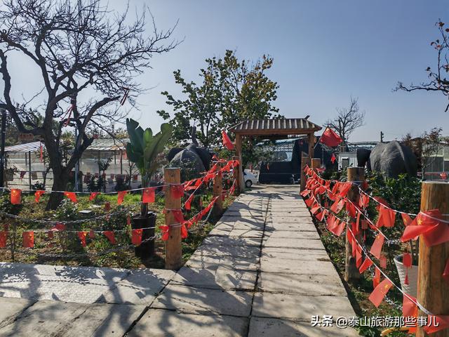 泰安：城西南有一个微缩的生态乐园，风光曼妙，带家人自驾好去处