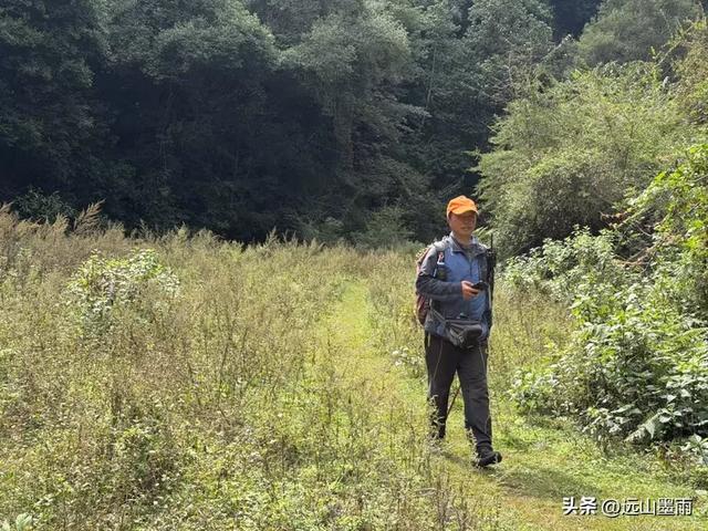 徒步武定香水箐，赏野草香飘、听溪流淙淙，徜徉绿水青山中，惬意