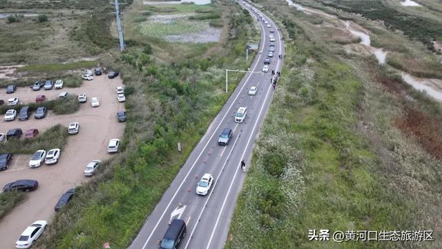 【情满双节游东营】​黄河口生态旅游区 国庆精彩瞬间 美好永不散场