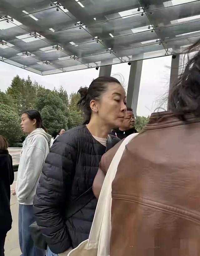 天呐，差点没认出来，美人迟暮，我们的女神也老了，但气质依然好