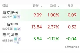 上海微电子会是下一个蛇吞象式的借壳重组主角吗？图片