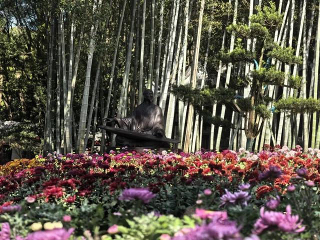 太美了！九江人私藏的赏菊地，错过等一年