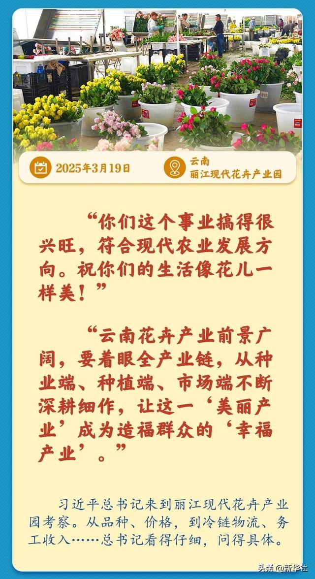学习新语｜总书记引领推动乡村振兴迈出坚实步伐
