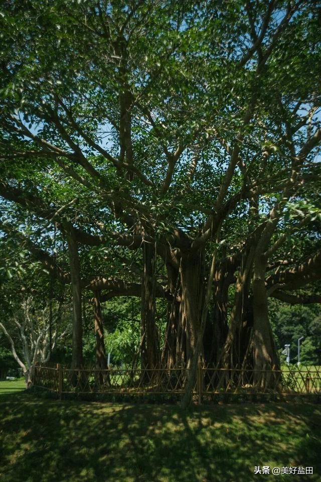 叔叔阿姨的《山海松弛秘籍》，我学了！