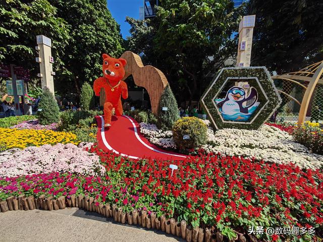 广州66届羊城菊花展，快来看打卡攻略