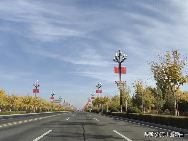 金塔胡杨林