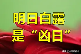 明日白露，有空没空，记得：1不露、2不添、3不动、4要做图片