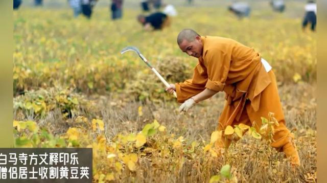 临危受命后直接掀翻释永信式商业，少林寺新住持，到底什么来头？
