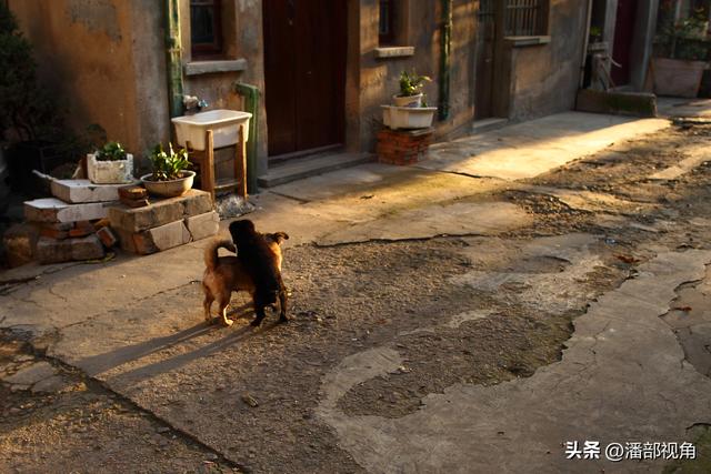无锡记忆：2011年10月的无锡小木桥早生活