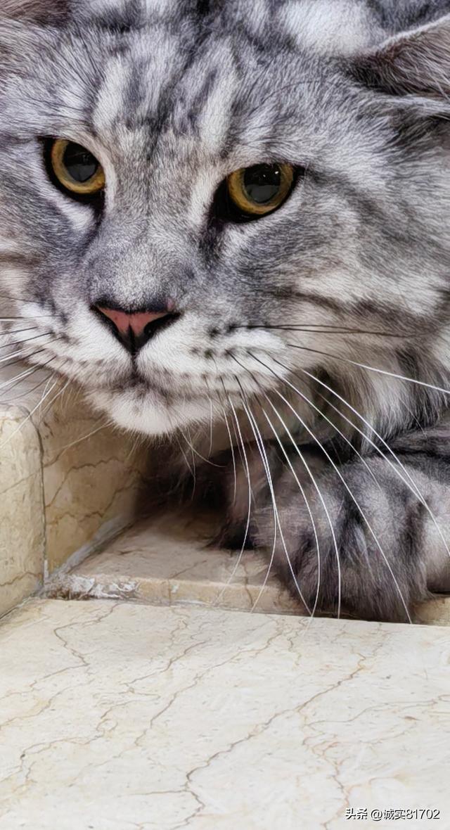 真的无语，挑拨离间的人真可恶，亲戚的两个儿媳妇，竟然反目成仇