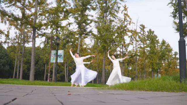 花叶染金秋 满城诗意美如画