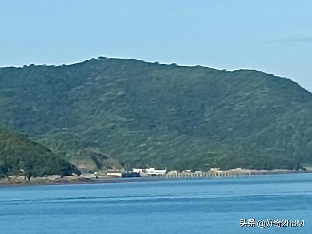 舟山之恋《远川归蜀，若棠苦等，结局…