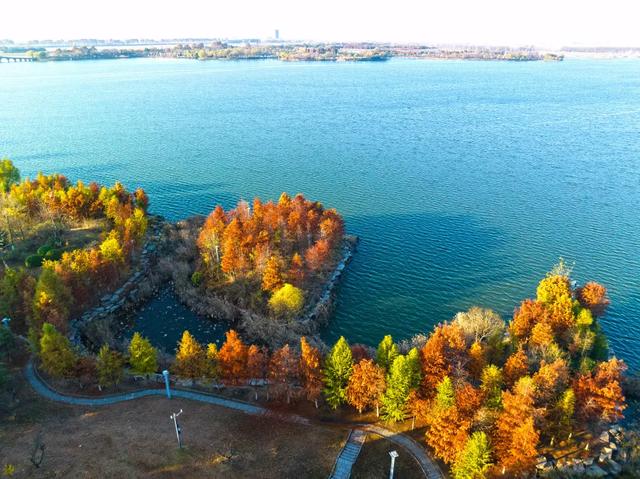 红了！红了！你最想和谁一起去？