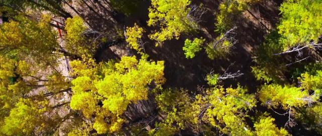 进度已达90%！呼和浩特进入全盛期！最近每天都不一样，呼市人抓紧出门