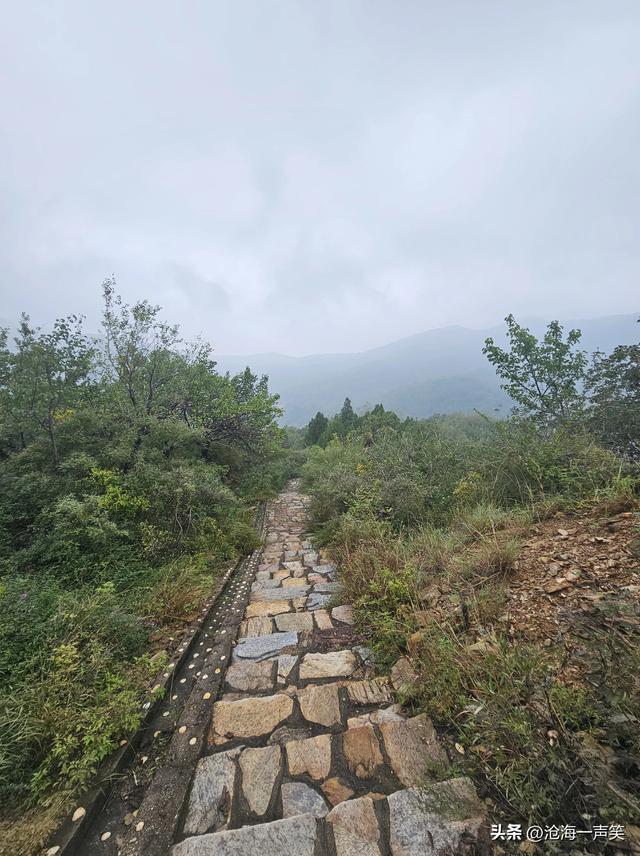 向往大山，向大山出发，天然氧吧，一路向上，无畏无惧，一起吧
