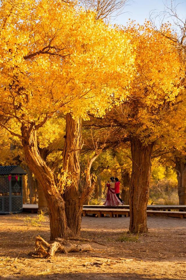 中国十大世界级绝世美景，你去过几个？全部去过的算你厉害！