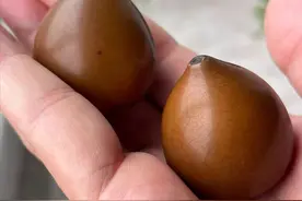 木梨是一种水果，存世百年不腐，盘得像玉，价值不菲图片