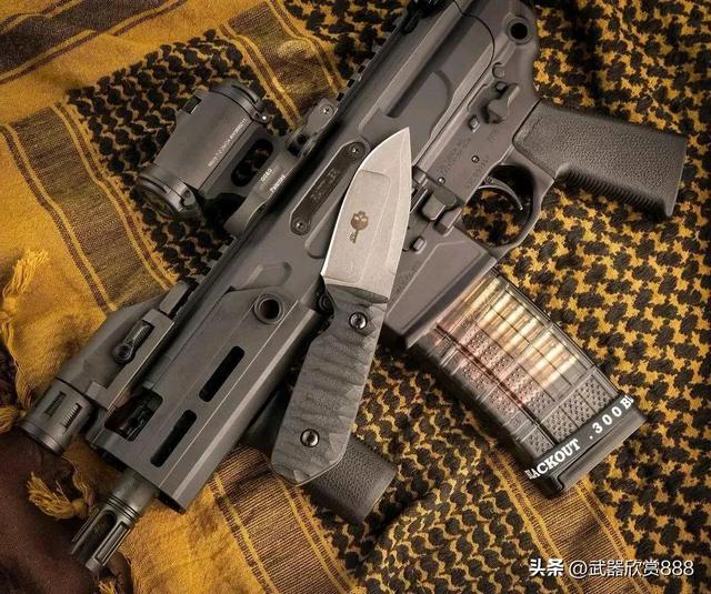 特战新宠！西格绍尔MCX rattler短管步枪有多牛？
