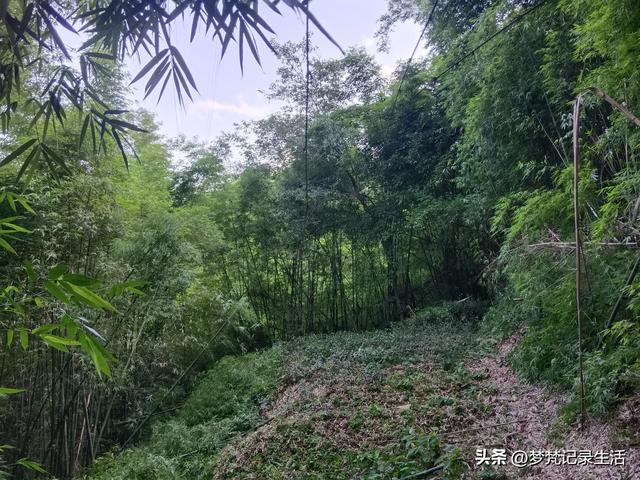 我最近热衷废墟游因为多少总会有收获,加油!我的胜利已近在眼前