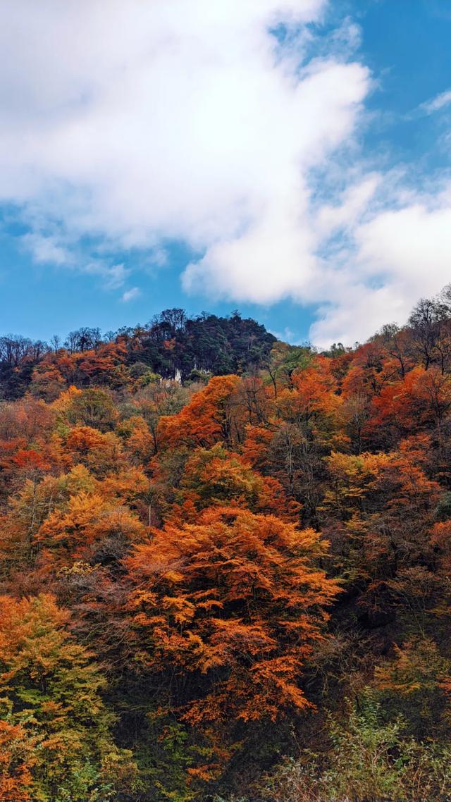 为什么说龙头山，是最不能错过的宝藏赏秋地？