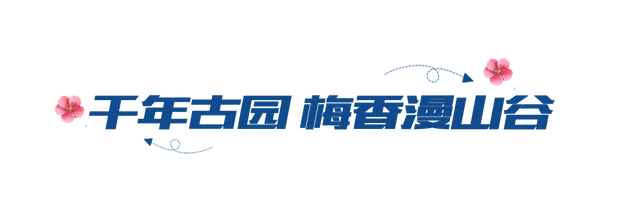 冬日顶流！朋友圈赏梅大赛，我先冲