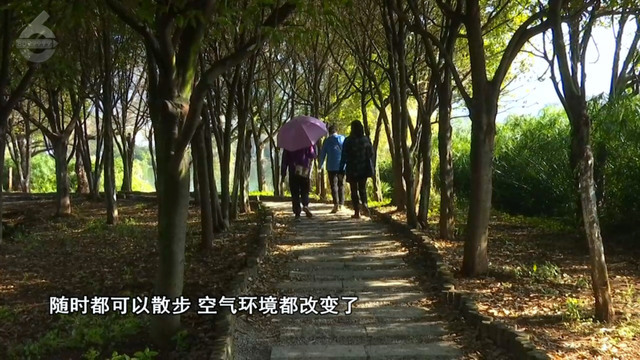 这个静谧小渔村，藏着彩虹桥、木栈道、老渔船、湖光鸥影……