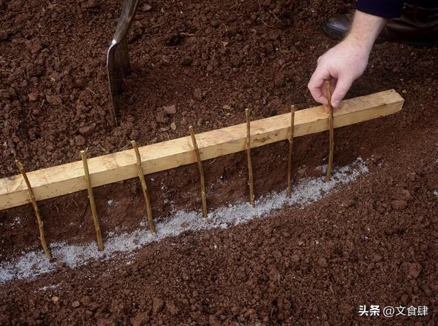 台湾人来保定旅游，实在忍不住想说：对保定的5点印象