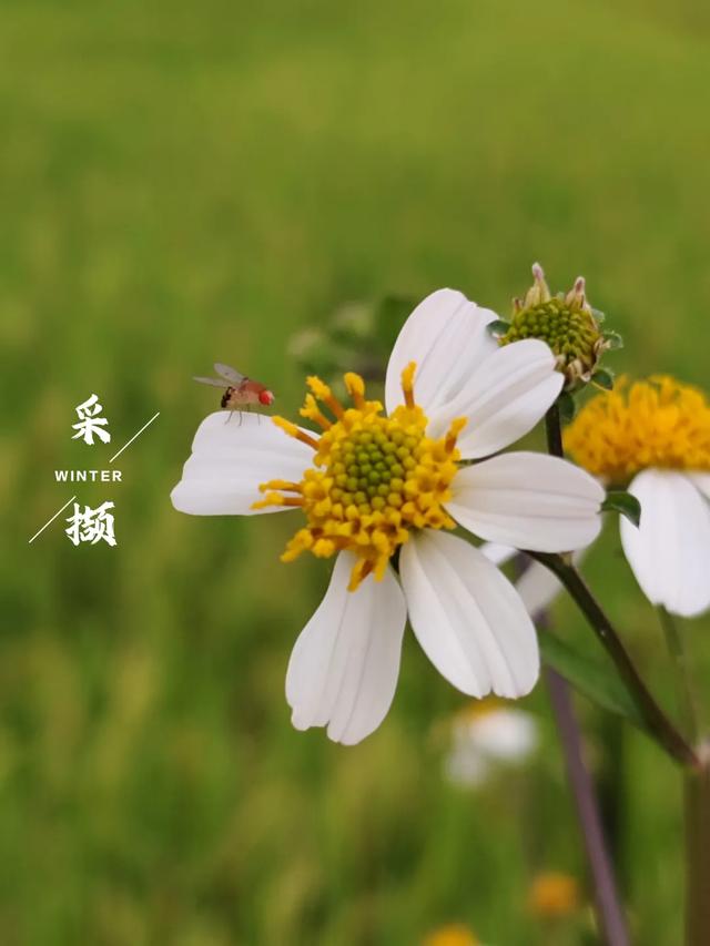 怀集的四季!带你回顾,带你深入