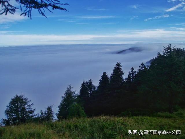 就这个周末，别等“下次”了！带上好心情，去黑河，赴一场与自然的约会