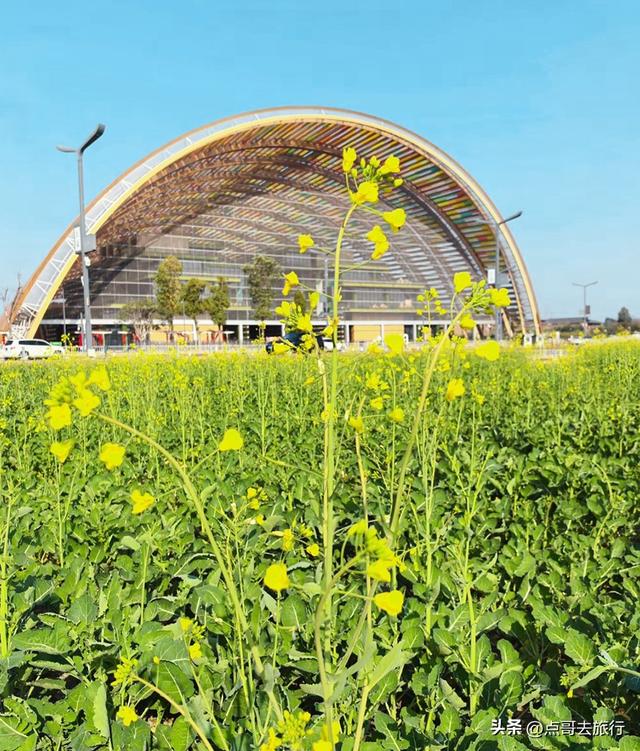 成都春天最美花开了，既壮观又唯美，这4处全免费，地铁公交可达