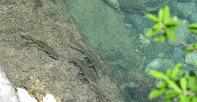 “镇”好遇见丨发现个宝藏小镇！就在桐梓这里~