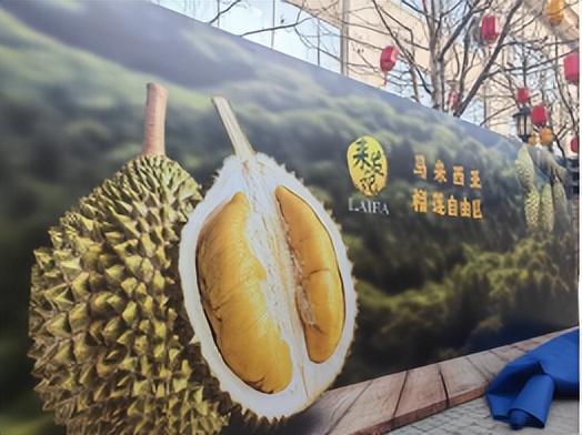 RCEP架梁山海 榴莲为媒绘盛景 首届马来西亚（青岛）榴莲节香聚大鲍岛