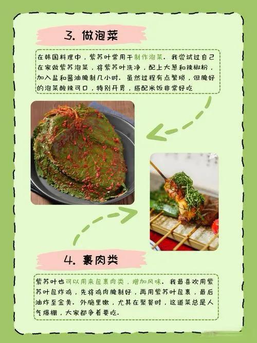 中伏吃紫苏，好处多多！