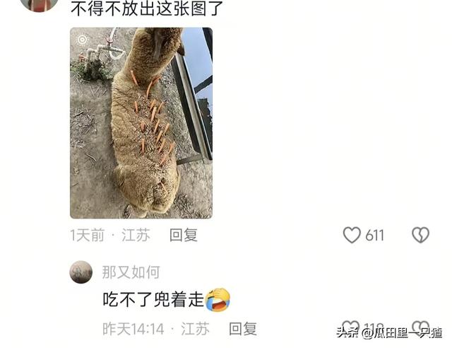 笑不活！国庆假期动物园的动物都吃yue了，网友:每逢佳节胖三斤