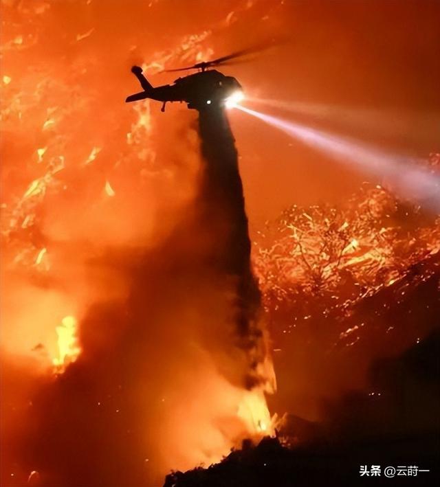 日本和美国早已禁种，中国为何依然大力种植？背后原因不简单