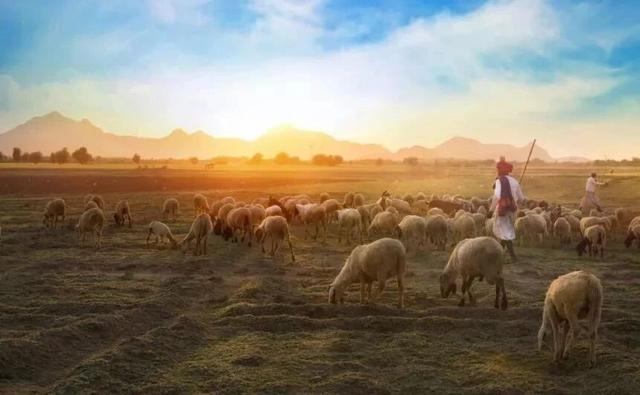 3个简短哲理小故事，励志有理