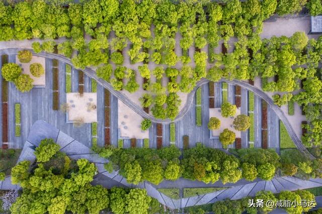 沉痛悼念北京大学建筑与景观设计学院创院院长俞孔坚