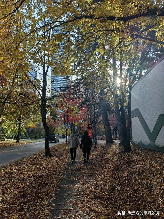 温哥华游记（四）