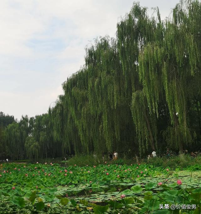 兰州植物园秋日赏景