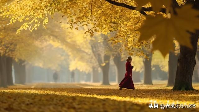 七绝 初冬游莞市公园