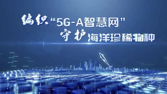 5G+AI”织就白海豚的“数字守护网